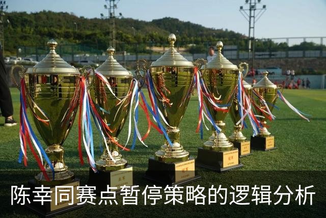 陈幸同赛点暂停策略的逻辑分析